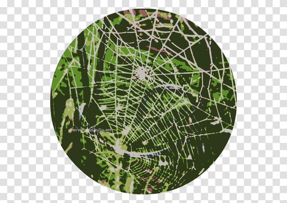 Cobwebs Spider Web, Tennis Ball, Sport, Sports Transparent Png