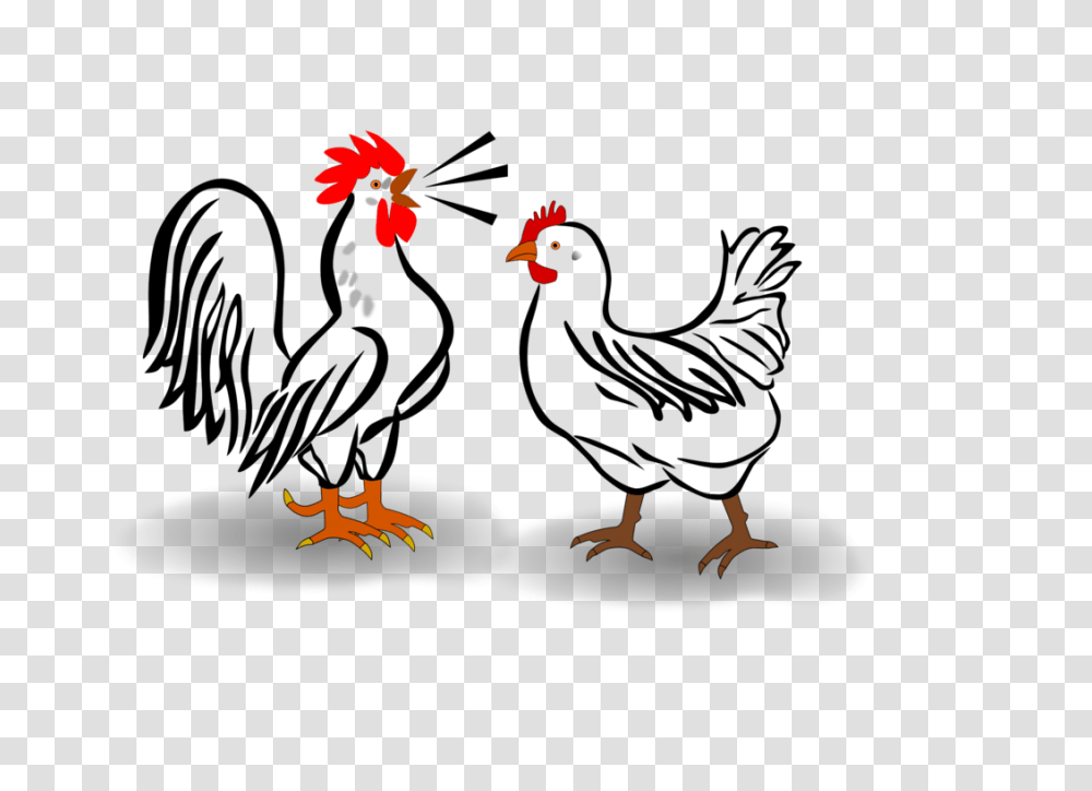 Cochin Chicken Leghorn Chicken Plymouth Rock Chicken Silkie Brahma, Bird, Animal Transparent Png