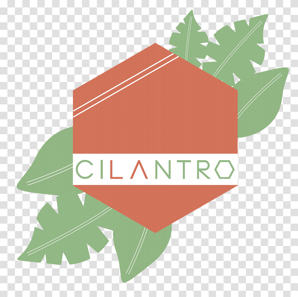 Cocina Cilantro Maple, Leaf, Plant, Produce, Food Transparent Png