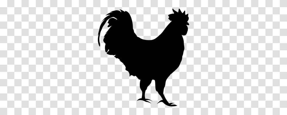 Cock Gray, World Of Warcraft Transparent Png