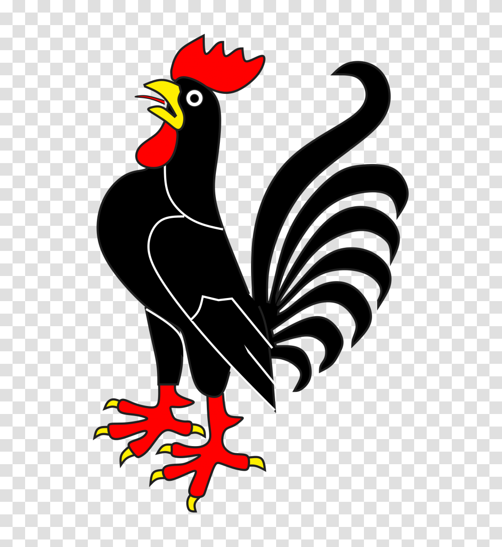 Cock, Animals, Bird, Cardinal, Blackbird Transparent Png