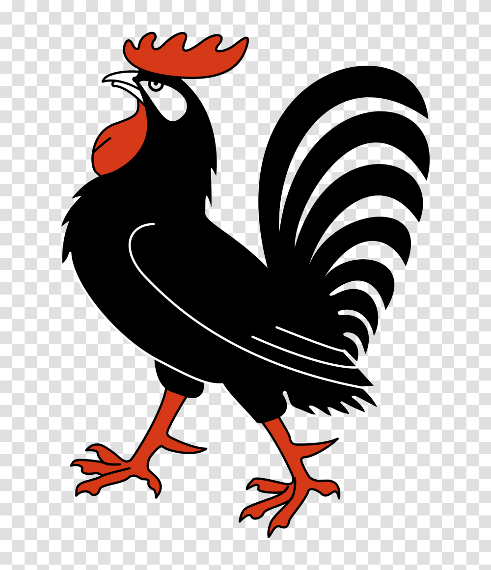 Cock, Animals, Bird Transparent Png