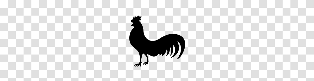 Cock, Animals, Gray, World Of Warcraft Transparent Png