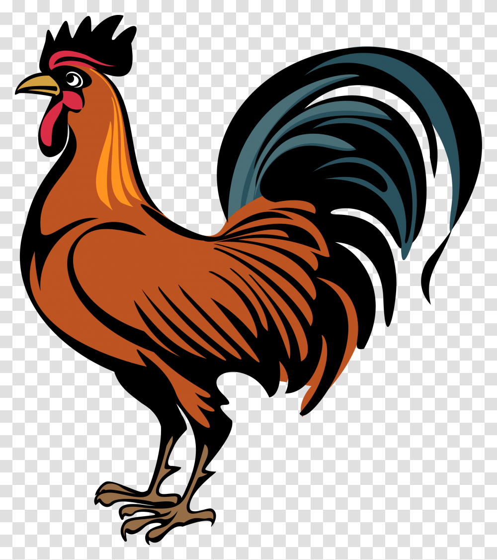 Cock, Animals, Poultry, Fowl, Bird Transparent Png