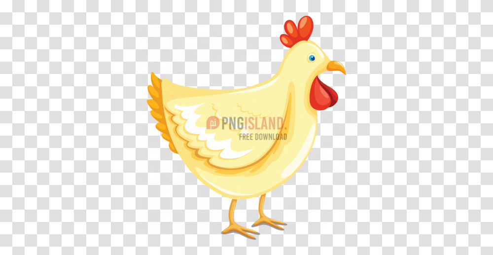 Cock Chicken Rooster Image With Rooster, Hen, Poultry, Fowl, Bird Transparent Png