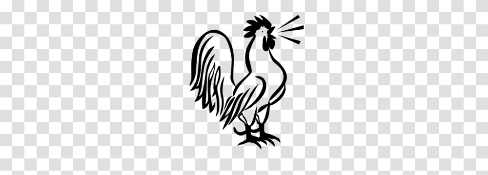 Cock Clipart, Flare, Light, Outdoors, Nature Transparent Png