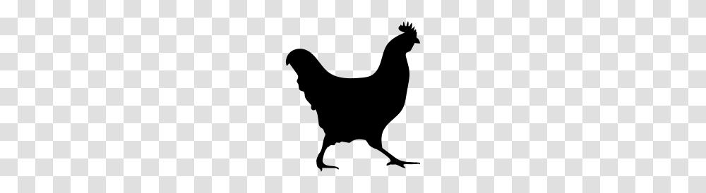 Cock, Gray, World Of Warcraft Transparent Png