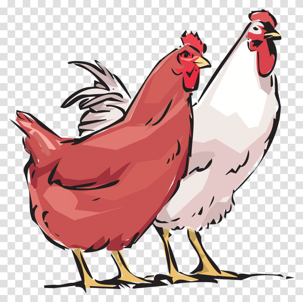 Cock Hd Hens Clipart, Poultry, Fowl, Bird, Animal Transparent Png