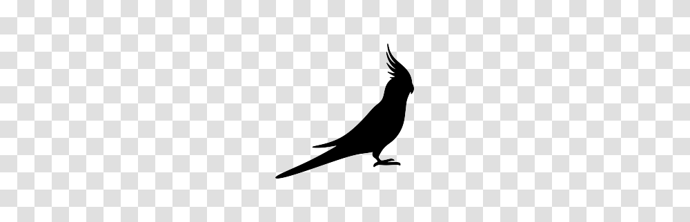 Cockatiel Silhouette Cricut Silhouette Bird, Stencil, Animal, Blackbird, Agelaius Transparent Png