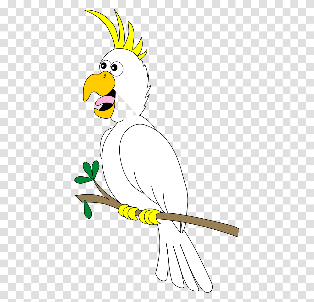 Cockatoo Clipart Birds, Animal, Vulture, Jay, Beak Transparent Png