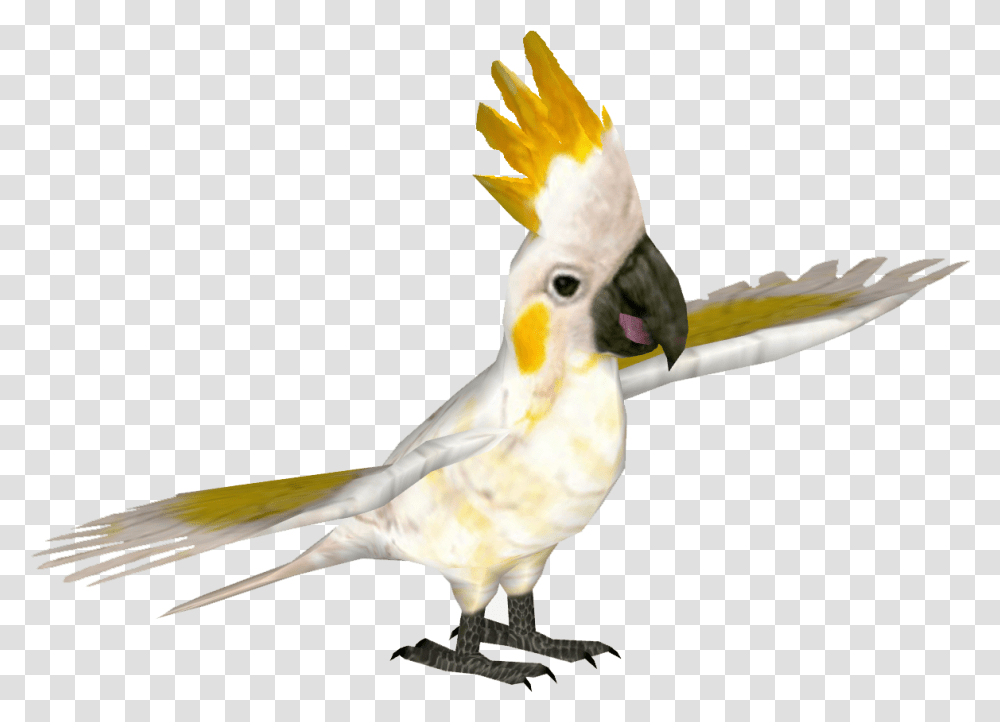 Cockatoo Zoo Tycoon 2 Cacatua, Bird, Animal, Parrot Transparent Png
