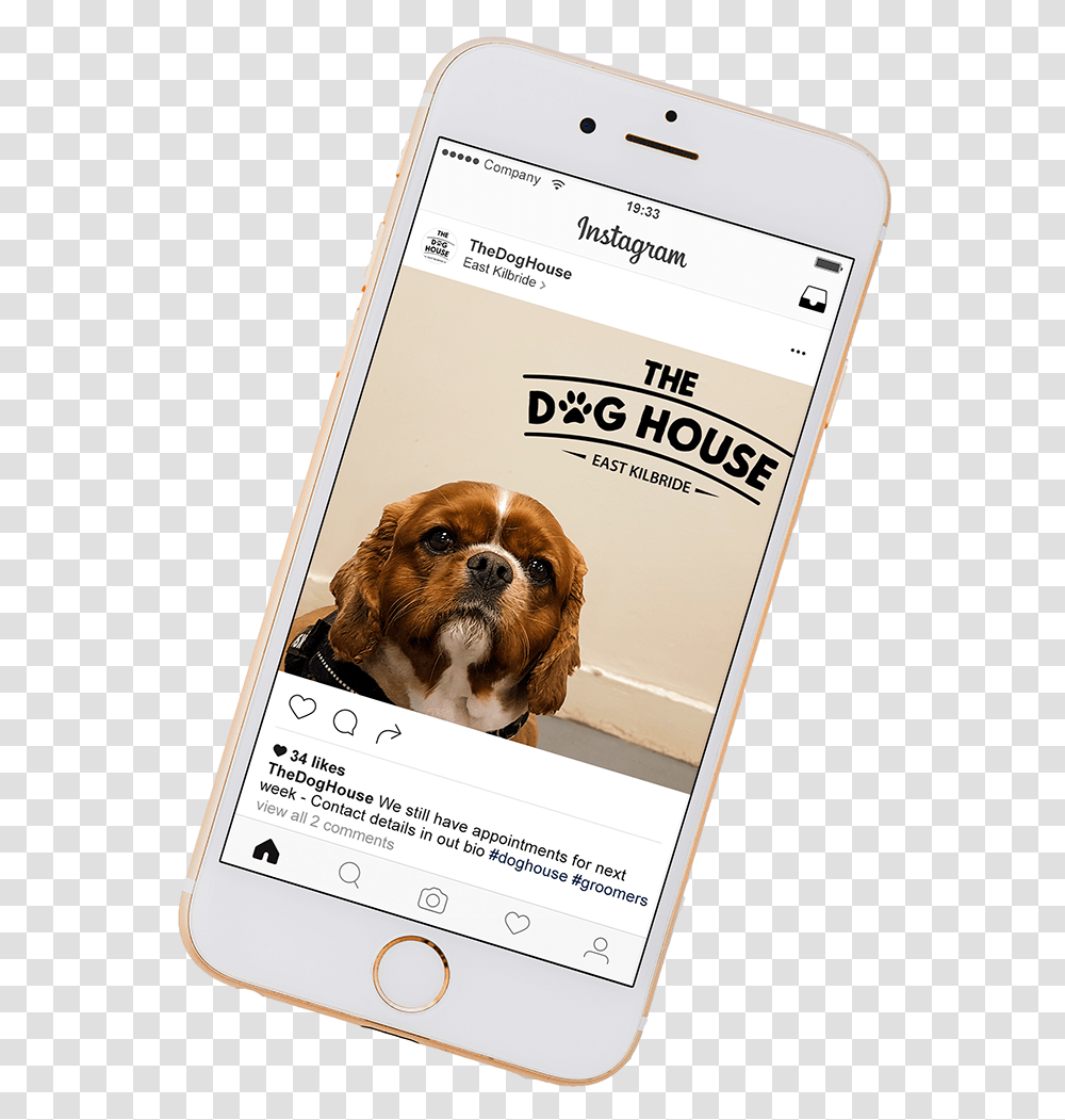 Cocker Spaniel, Mobile Phone, Electronics, Dog, Pet Transparent Png