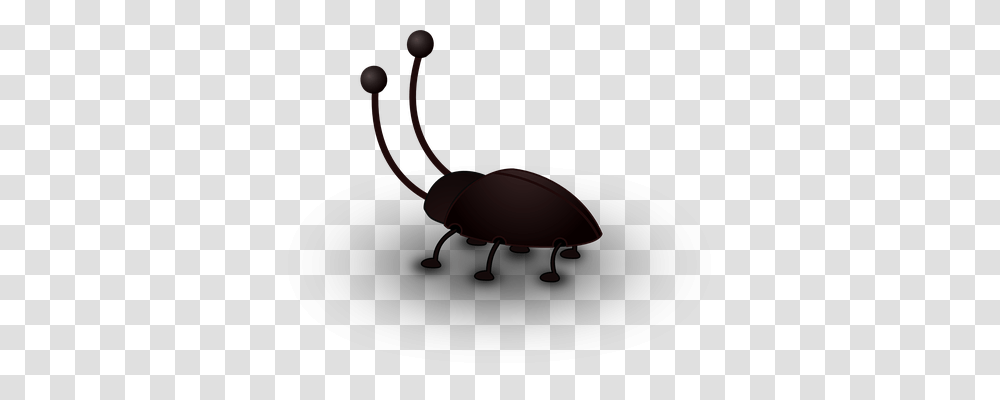 Cockroach Animals, Lamp, Invertebrate, Insect Transparent Png