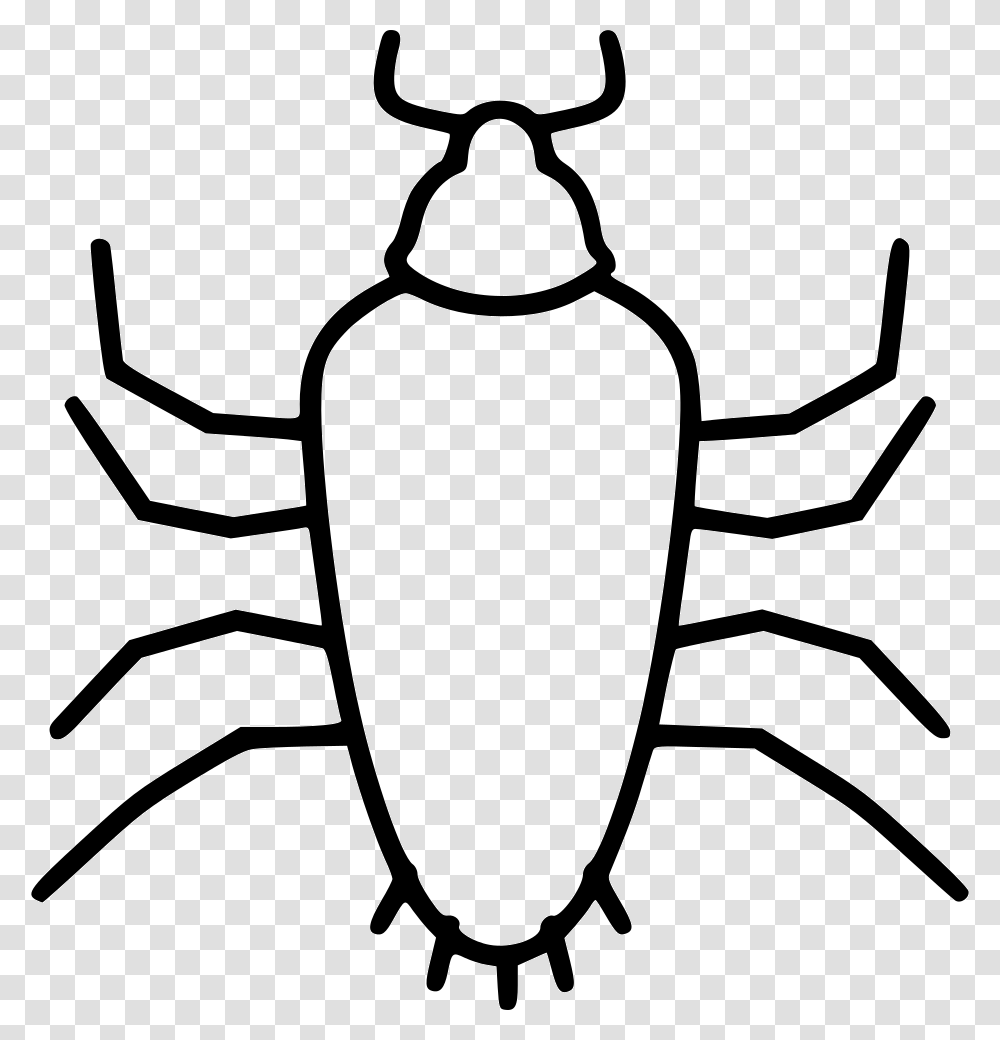 Cockroach, Animal, Invertebrate, Insect, Sea Life Transparent Png