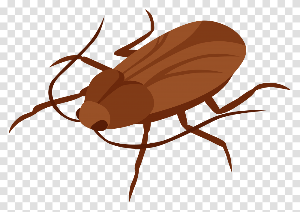 Cockroach Clip Art Cockroach Clipart, Animal, Insect, Invertebrate Transparent Png