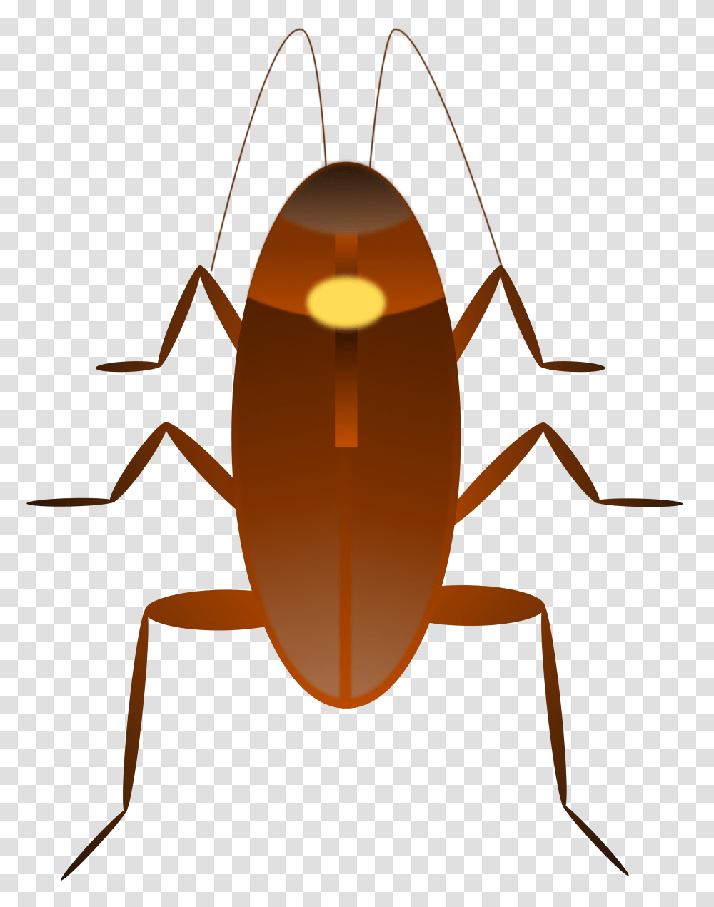 Cockroach Clip Art Free, Insect, Invertebrate, Animal Transparent Png