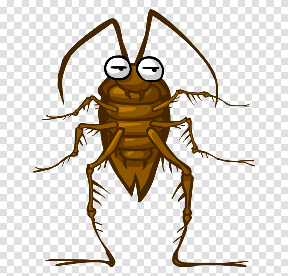 Cockroach Clipart, Insect, Invertebrate, Animal, Spider Transparent Png