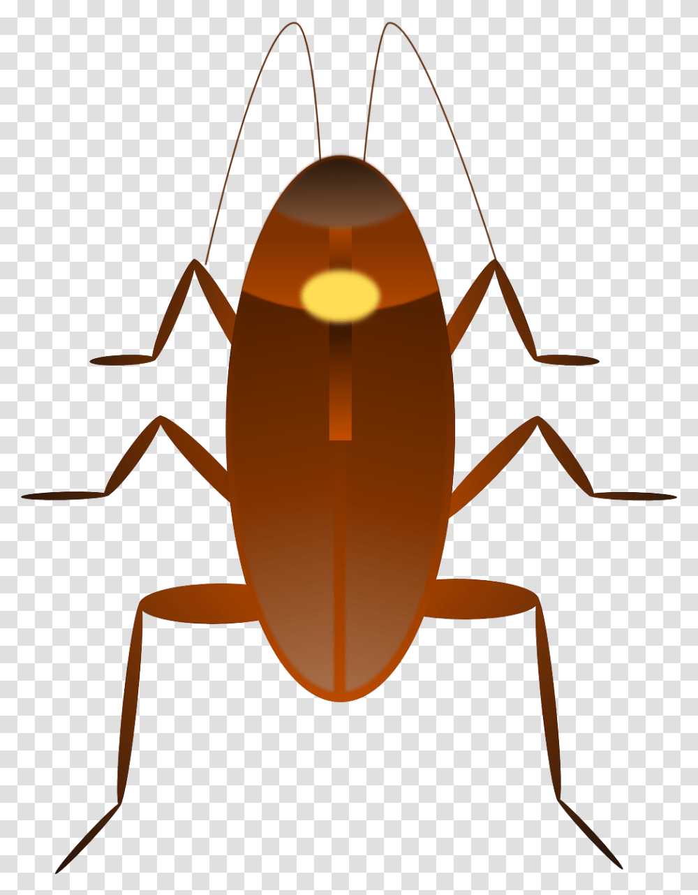 Cockroach Clipart, Insect, Invertebrate, Animal Transparent Png