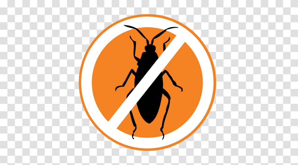 Cockroach Control Adelaide Cockroach Control, Insect, Invertebrate, Animal, Person Transparent Png