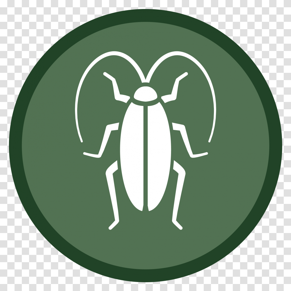 Cockroach Icon 02 Sims 4 Mosquito Stuff Pack, Animal, Insect, Invertebrate, Firefly Transparent Png