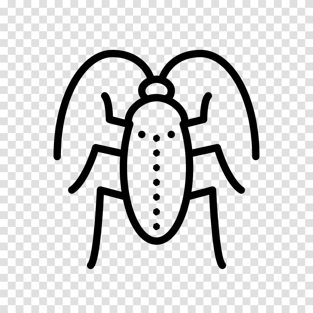 Cockroach Icon, Gray, World Of Warcraft Transparent Png