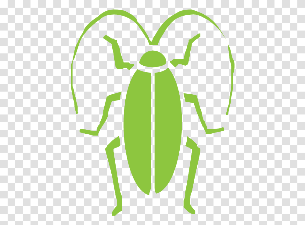 Cockroach Icon, Insect, Invertebrate, Animal, Jar Transparent Png