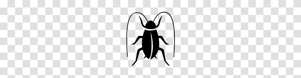 Cockroach Icons Noun Project, Gray, World Of Warcraft Transparent Png