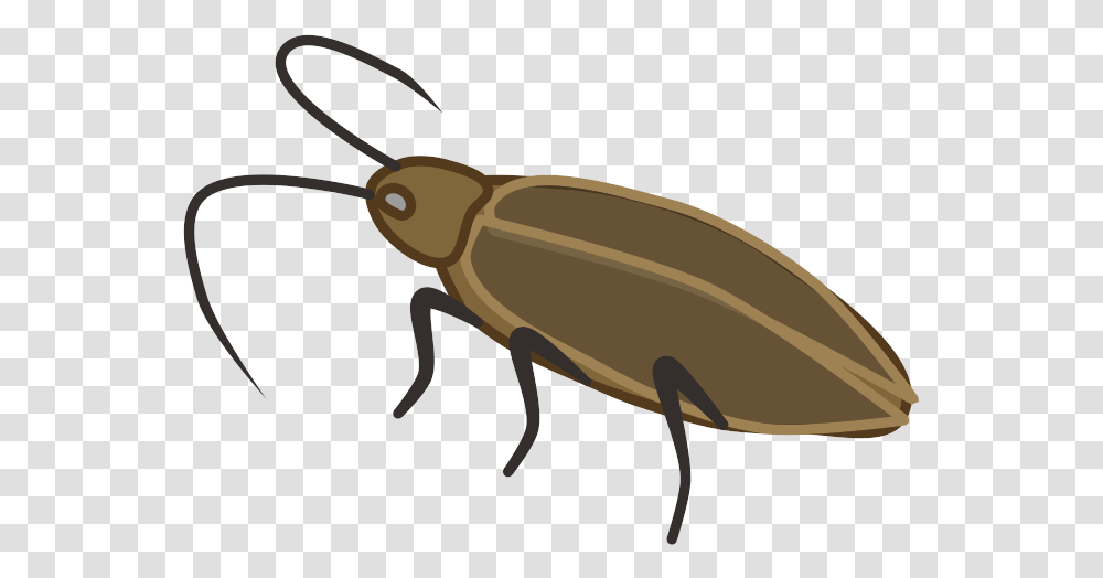 Cockroach Prop Animal Ground Beetle, Insect, Invertebrate, Sunglasses, Accessories Transparent Png