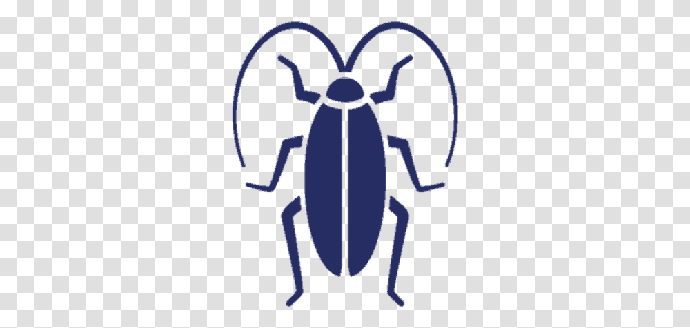 Cockroach Uspest Giant Cockroach Black And White Clipart, Insect, Invertebrate, Animal, Firefly Transparent Png