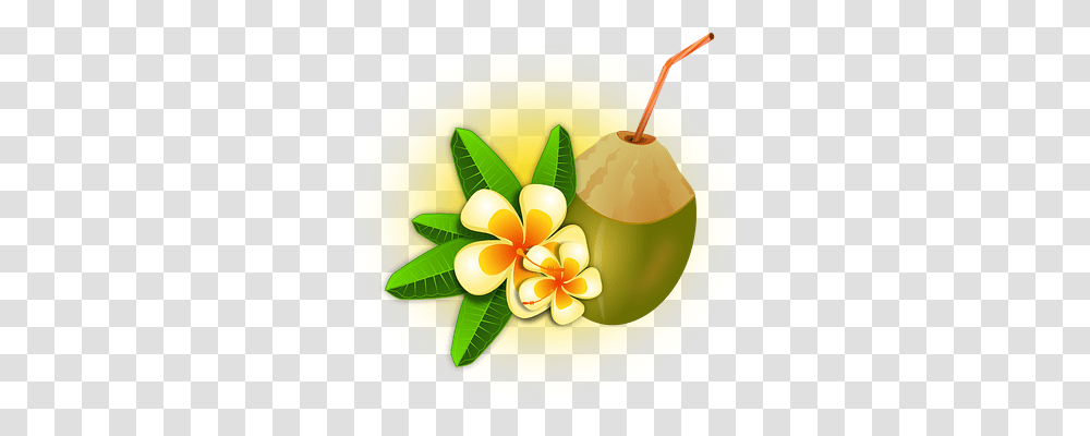 Cocktail Holiday, Plant, Nut, Vegetable Transparent Png