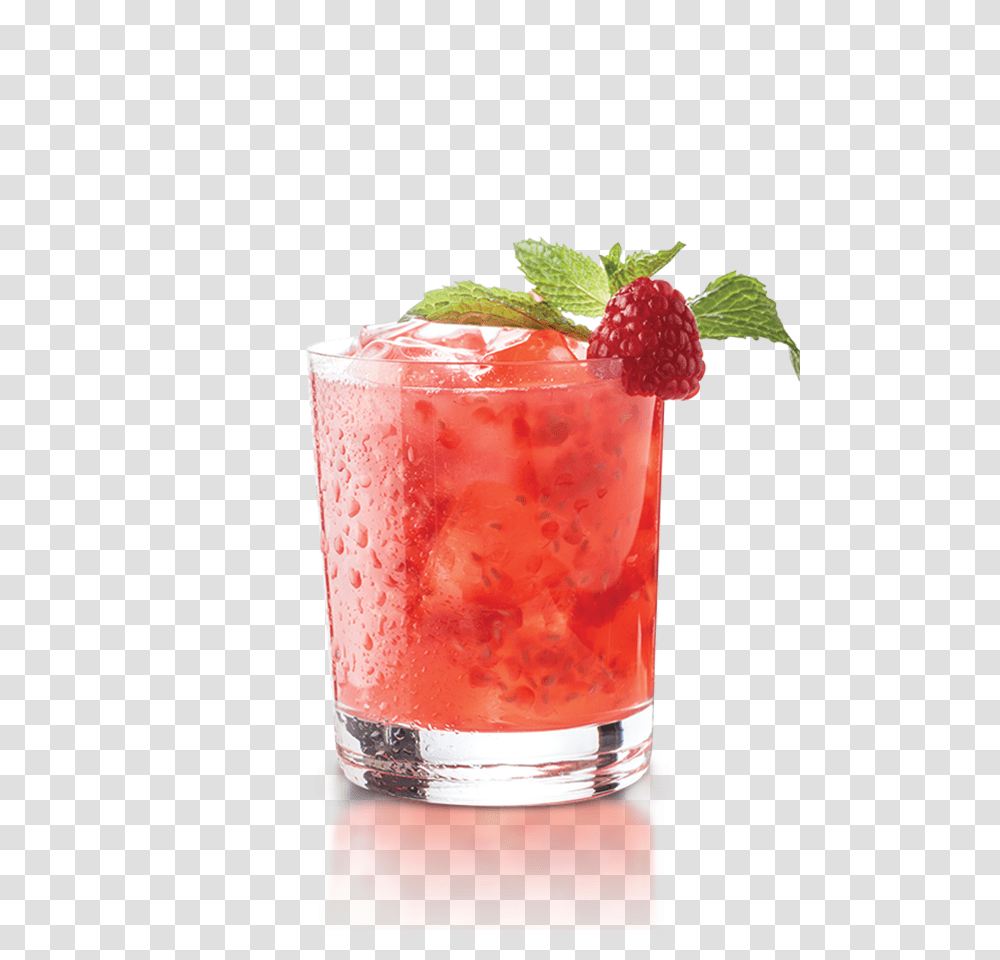 Cocktail, Drink, Alcohol, Beverage, Plant Transparent Png