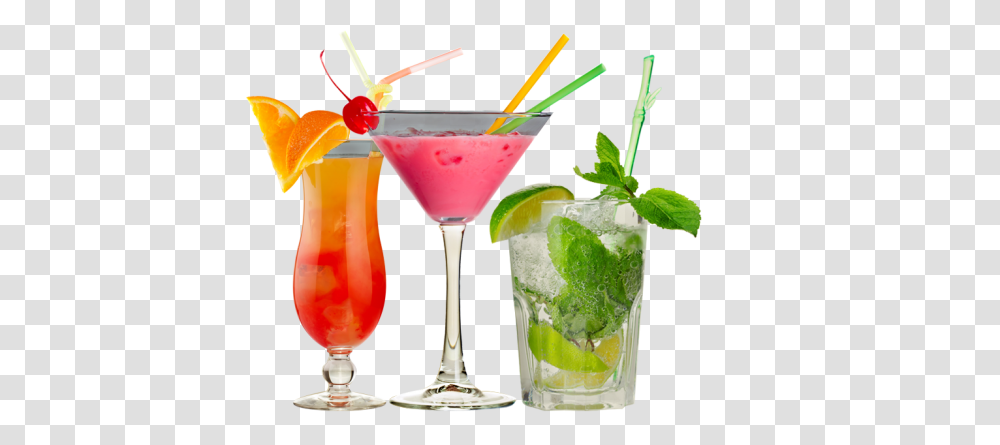 Cocktail, Drink, Alcohol, Beverage, Potted Plant Transparent Png