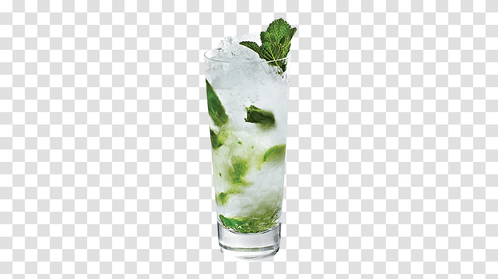 Cocktail, Drink, Alcohol, Beverage, Potted Plant Transparent Png