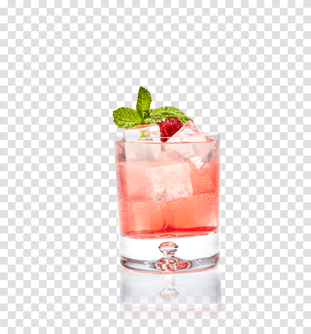 Cocktail, Drink, Alcohol, Beverage, Potted Plant Transparent Png