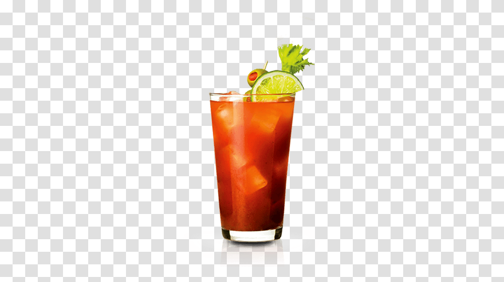 Cocktail, Drink, Alcohol, Beverage, Potted Plant Transparent Png