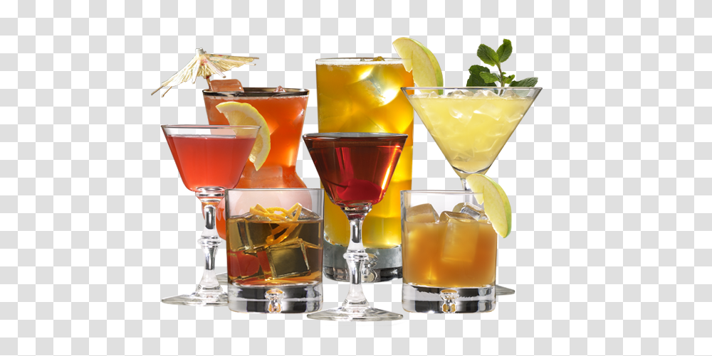 Cocktail, Drink, Alcohol, Beverage, Potted Plant Transparent Png