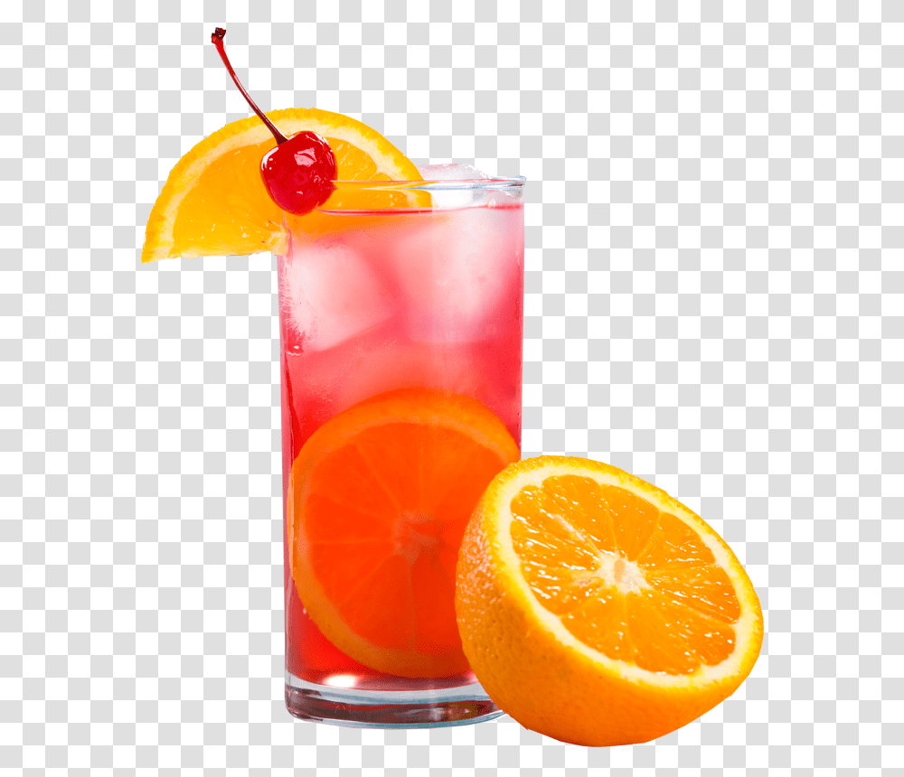 Cocktail, Drink, Orange, Citrus Fruit, Plant Transparent Png