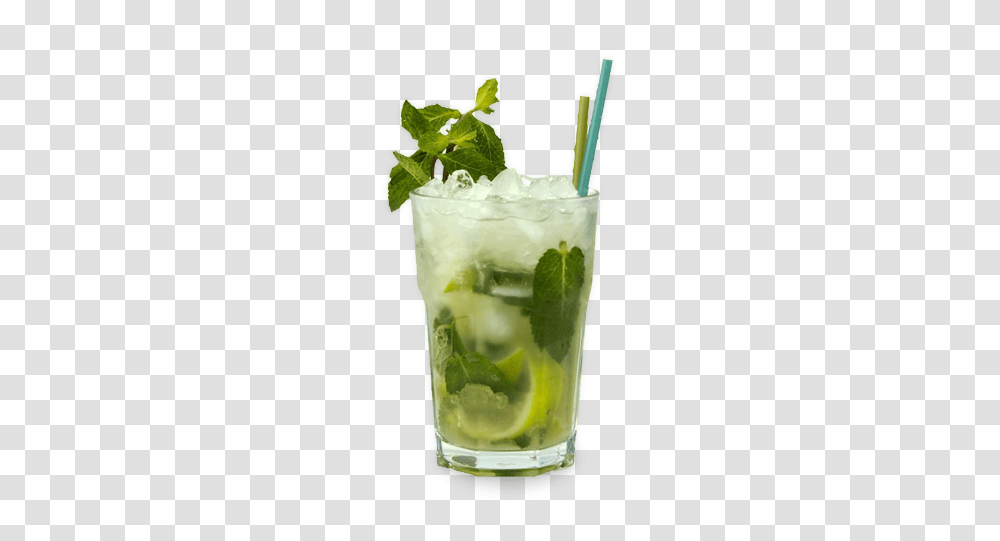 Cocktail, Drink, Potted Plant, Vase, Jar Transparent Png