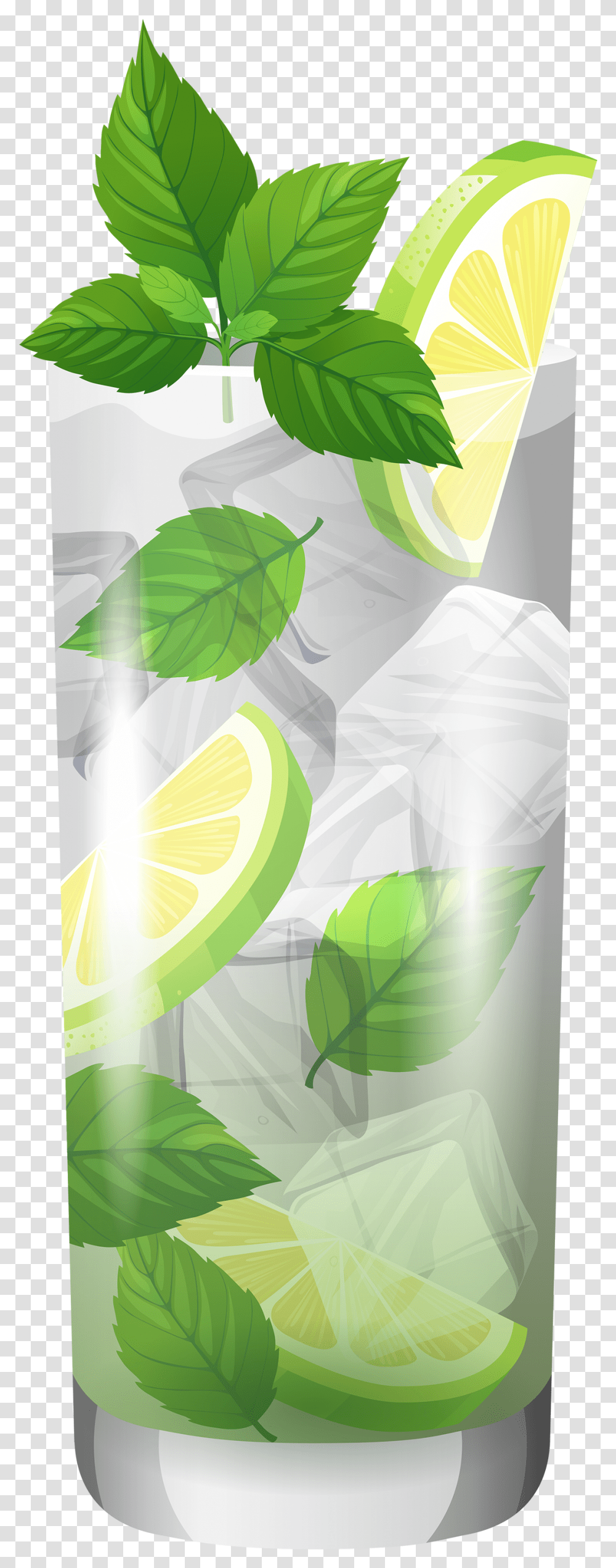 Cocktail Mojito Clipart Happy Hour Drinks, Plant, Beverage, Alcohol, Lemonade Transparent Png