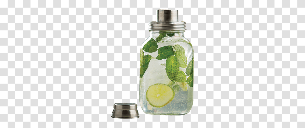 Cocktail Shaker, Jar, Potted Plant, Vase, Pottery Transparent Png