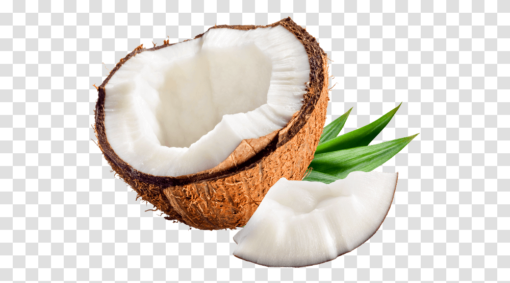 Coco E Cia Coco, Plant, Nut, Vegetable, Food Transparent Png