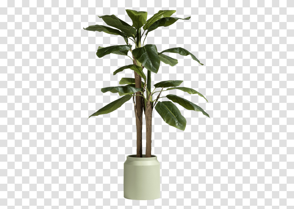Coco Maison Banana Tree 140 Cm Coco Maison Banana Tree, Plant, Palm Tree, Arecaceae, Leaf Transparent Png