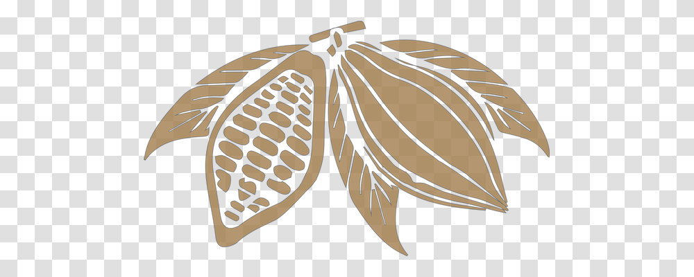Cocoa Nature, Animal, Invertebrate, Insect Transparent Png