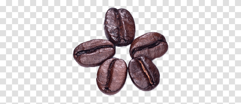 Cocoa Bean Coffee Bean, Plant, Food, Vegetable, Fungus Transparent Png