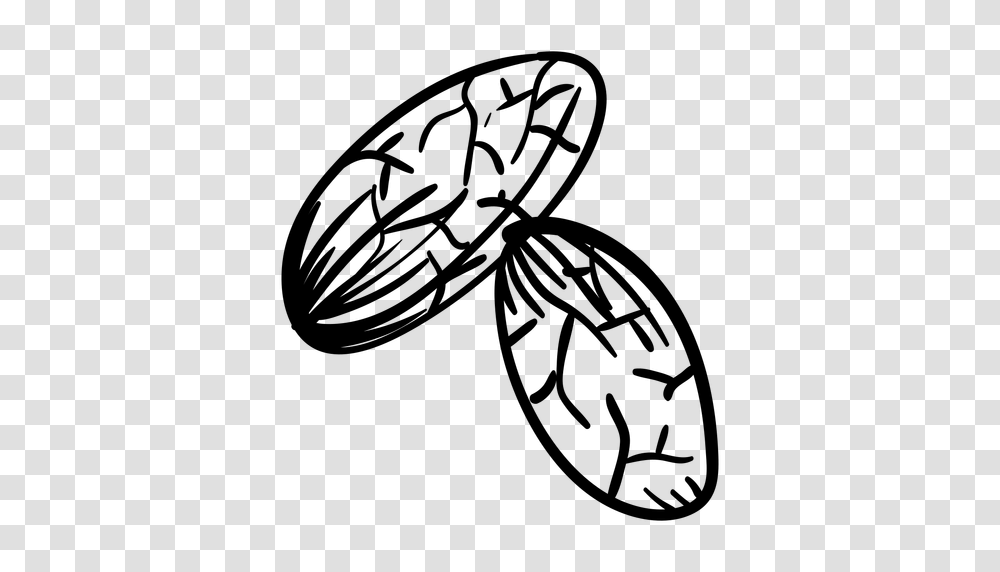 Cocoa Beans Hand Drawn, Gray, World Of Warcraft Transparent Png