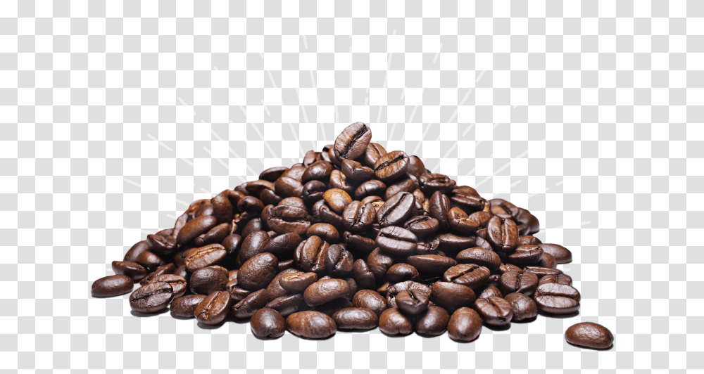 Cocoa Beans High Resolution Coffee Beans, Plant, Vegetable, Food, Produce Transparent Png