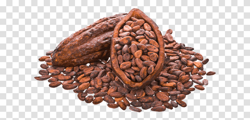 Cocoa Beans Image Cacao File, Fudge, Chocolate, Dessert, Food Transparent Png