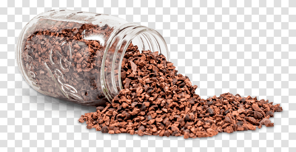 Cocoa Image Cacao Beans, Snake, Plant, Jar, Food Transparent Png
