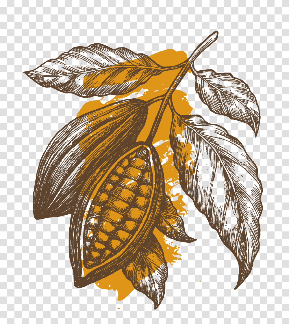 Cocoafruit Cocoa Plant Chocolate Illustration, Insect, Invertebrate, Animal, Butterfly Transparent Png