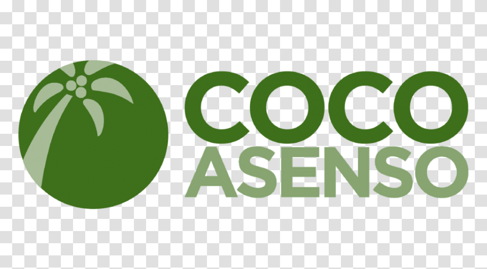 Cocoasenso Desiccated Coconut Virgin Coconut Oil Paranas, Tennis Ball, Sport, Sports, Logo Transparent Png